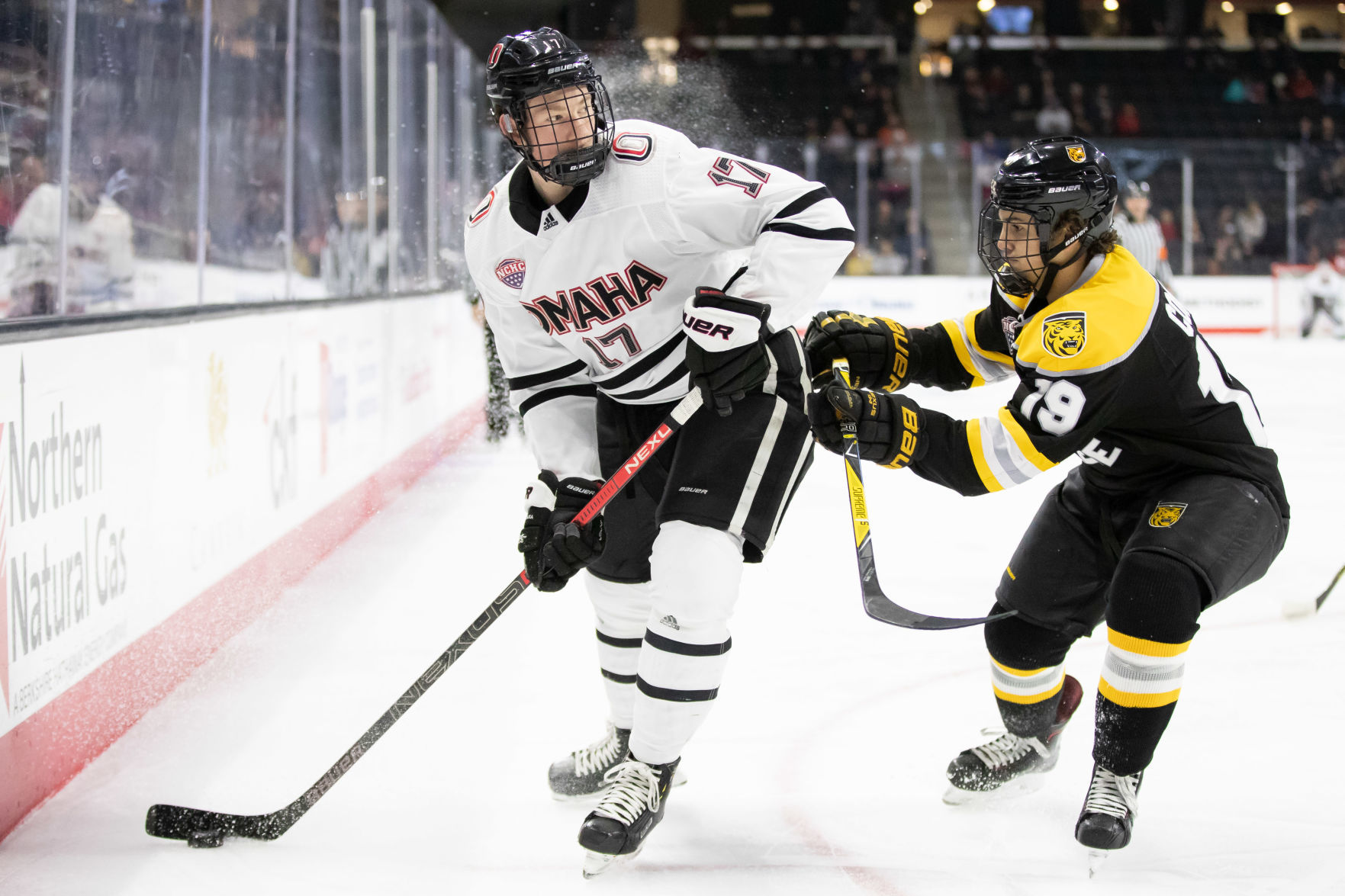 Taylor Ward, Omaha
